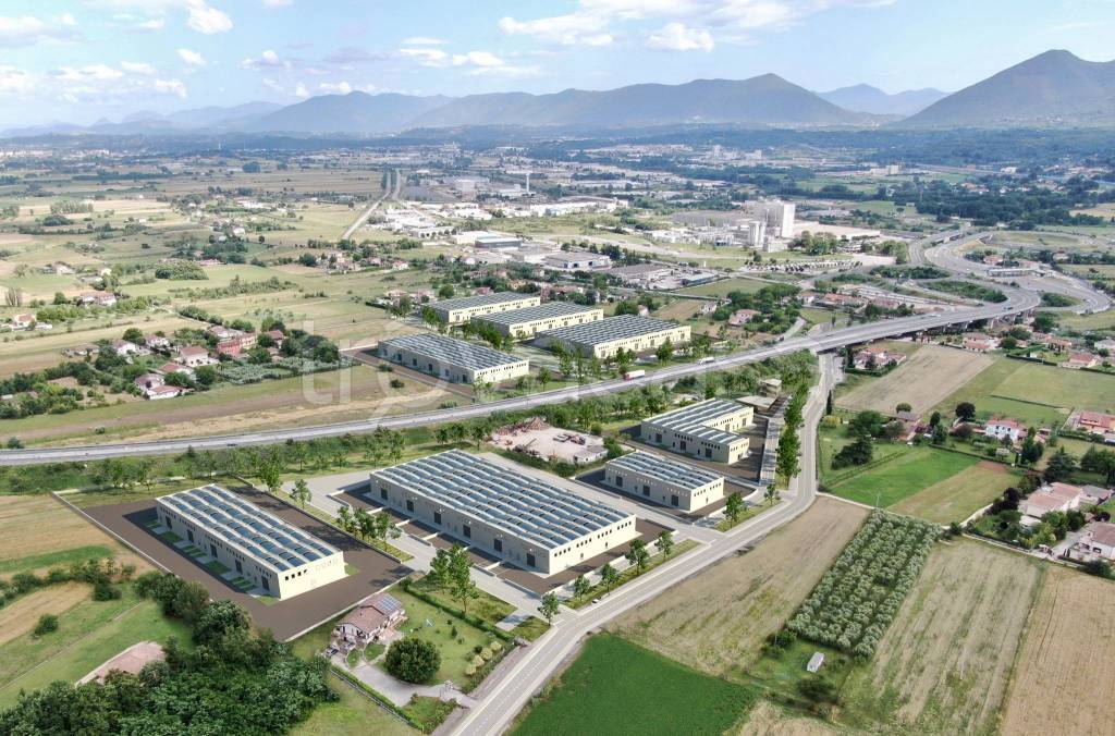 immagine annuncio 3 di 8