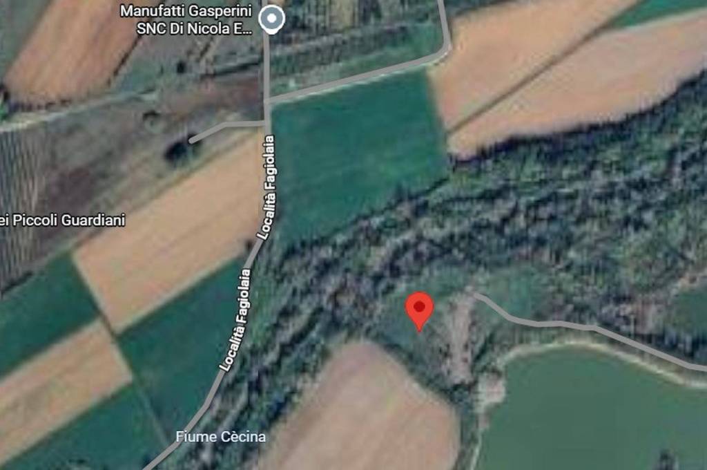 immagine annuncio 7 di 11