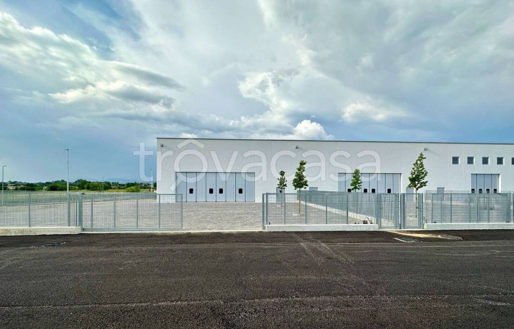 immagine annuncio 5 di 8