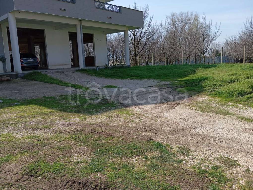 immagine annuncio 4 di 13