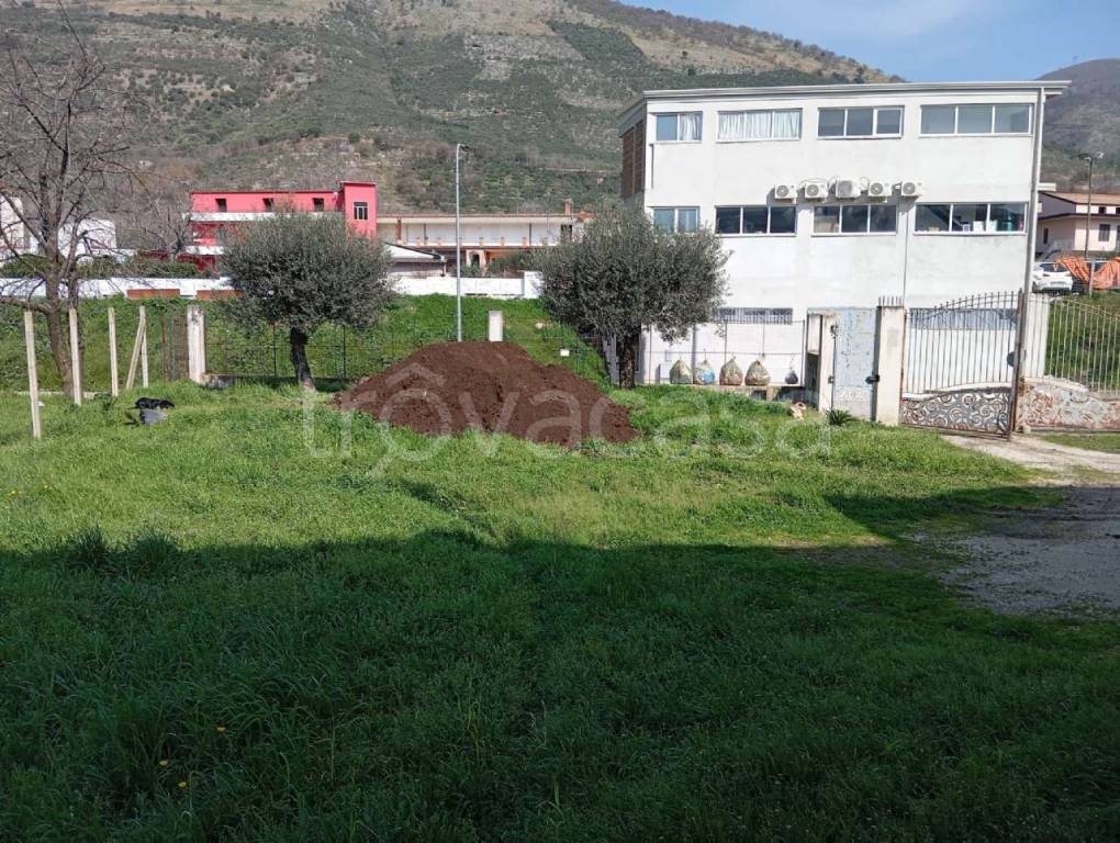 immagine annuncio 5 di 13