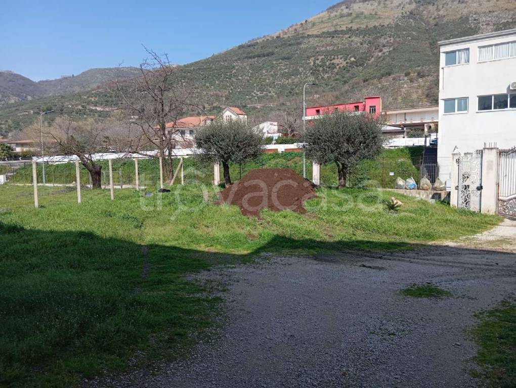 immagine annuncio 6 di 13