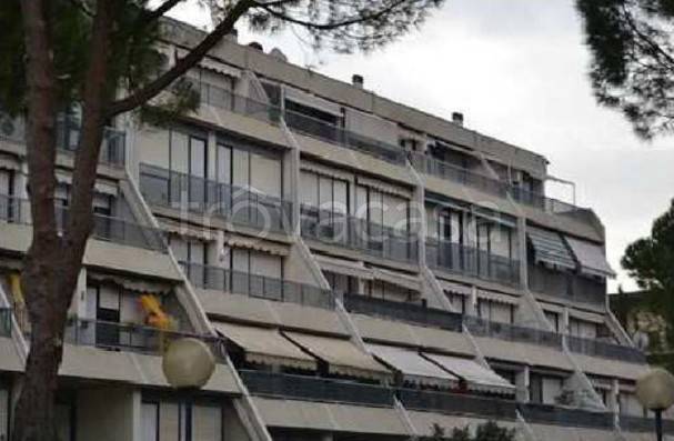 immagine annuncio 11 di 14