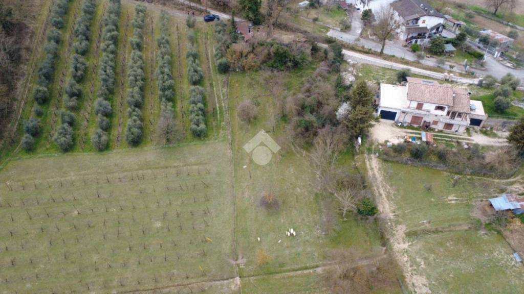 immagine annuncio 3 di 8