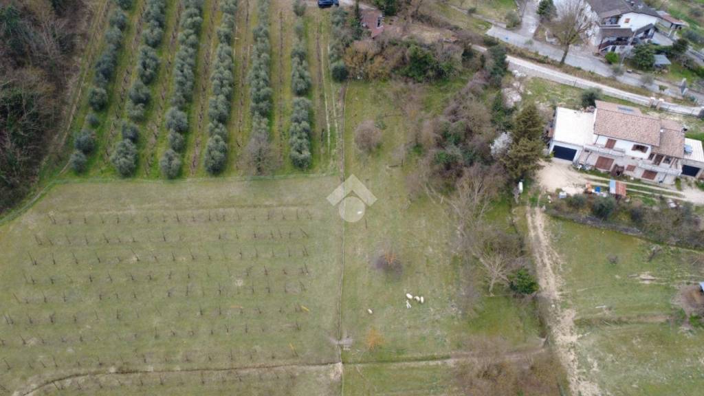 immagine annuncio 5 di 8