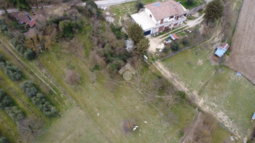 immagine annuncio 6 di 8