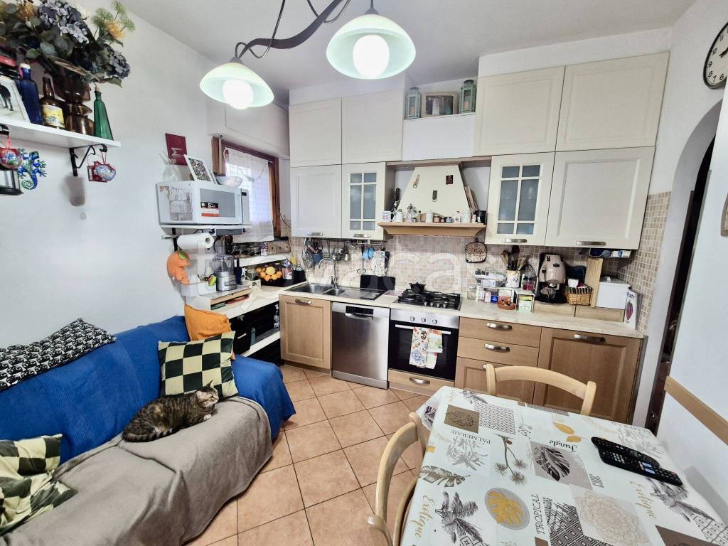 immagine annuncio 1 di 15