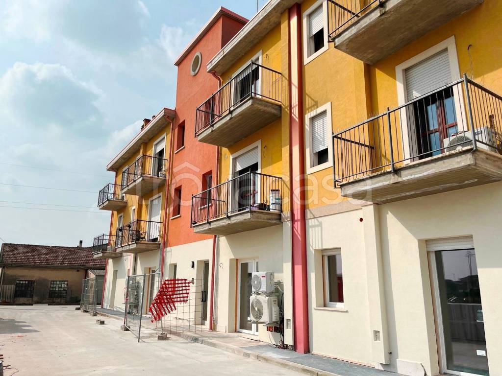 immagine annuncio 11 di 14