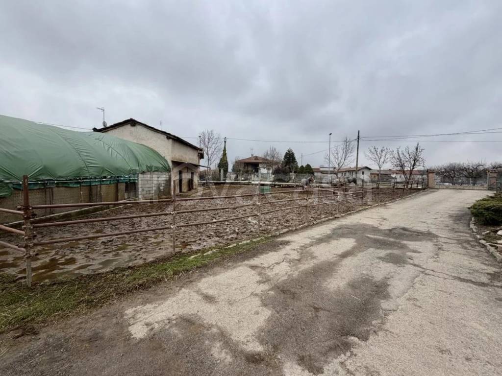 immagine annuncio 1 di 14