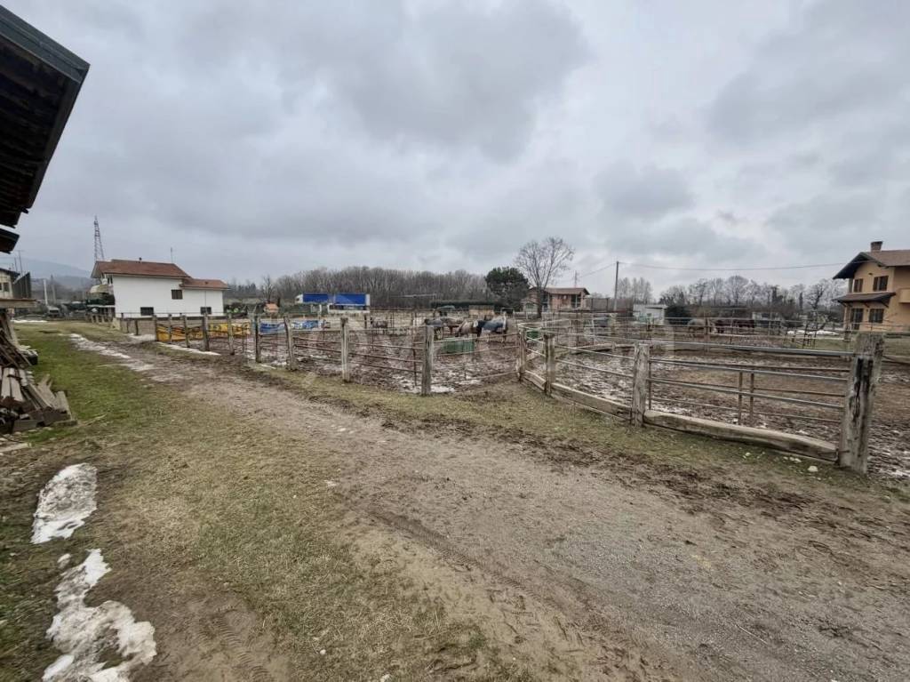 immagine annuncio 2 di 14