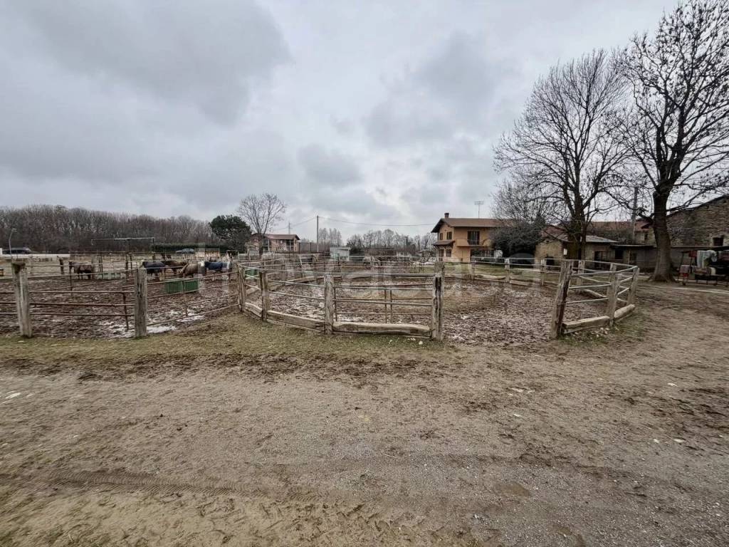 immagine annuncio 3 di 14