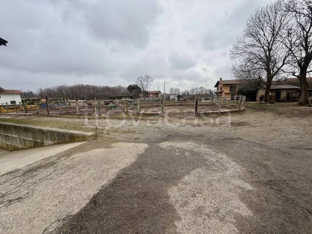 immagine annuncio 4 di 14