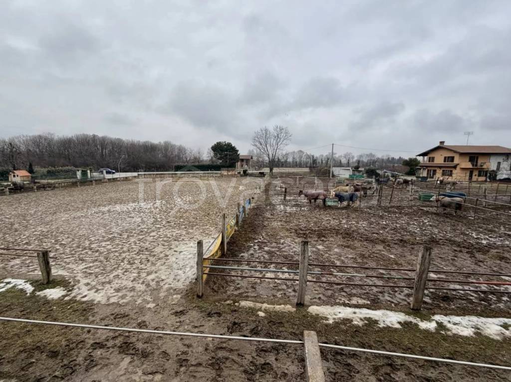 immagine annuncio 5 di 14