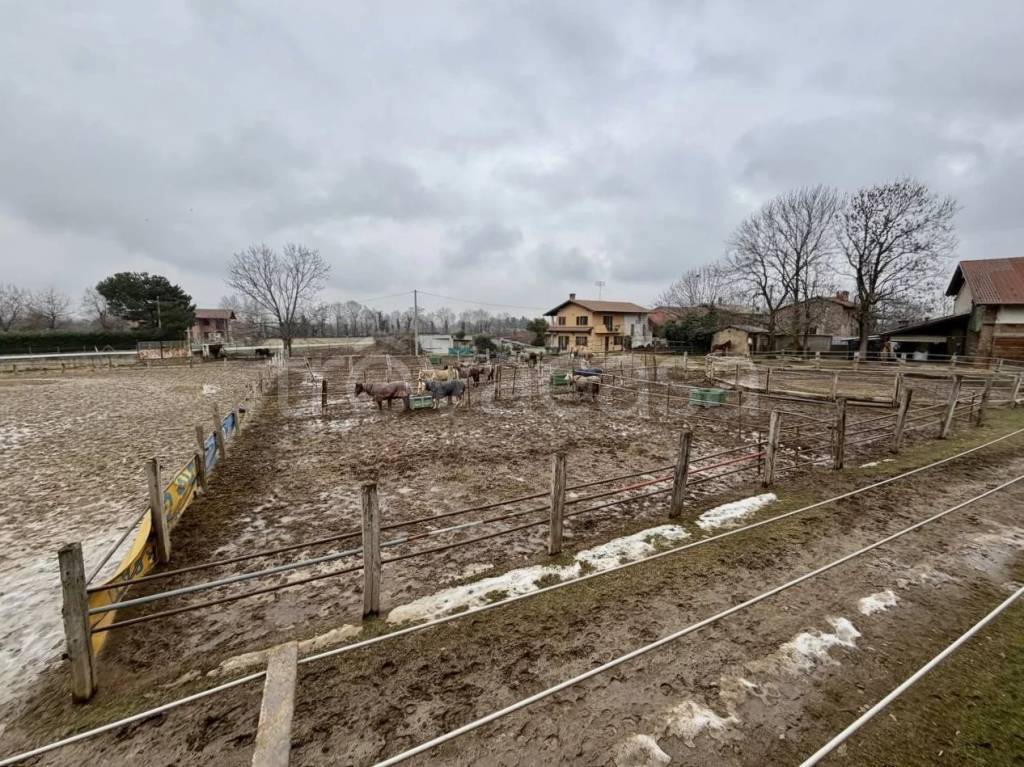 immagine annuncio 6 di 14