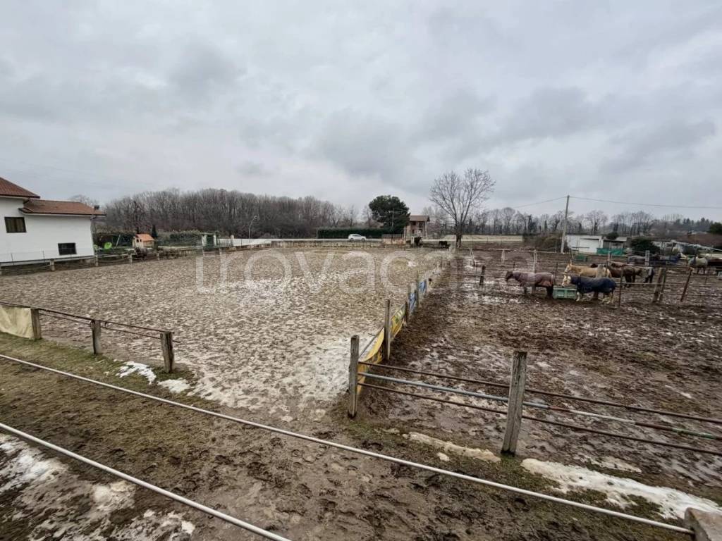 immagine annuncio 7 di 14