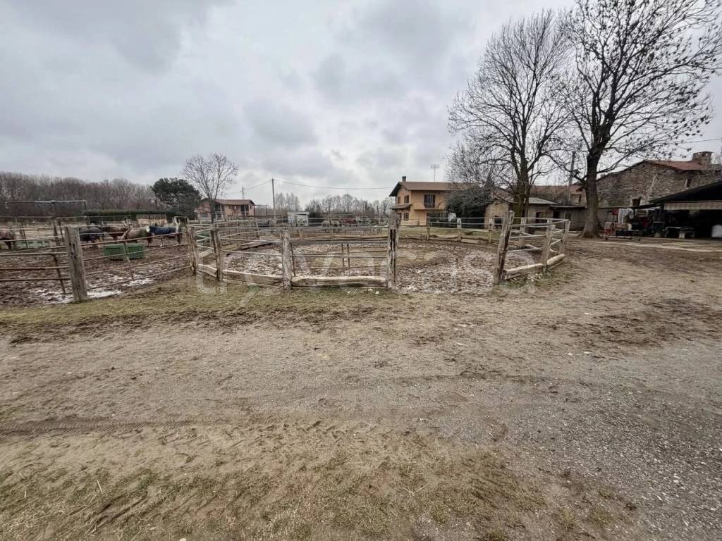 immagine annuncio 9 di 14