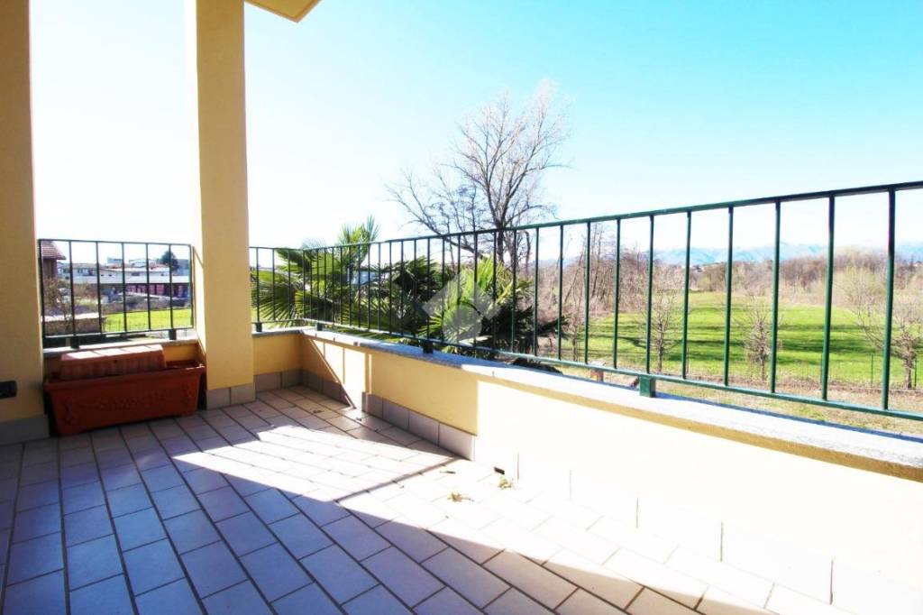 immagine annuncio 3 di 14