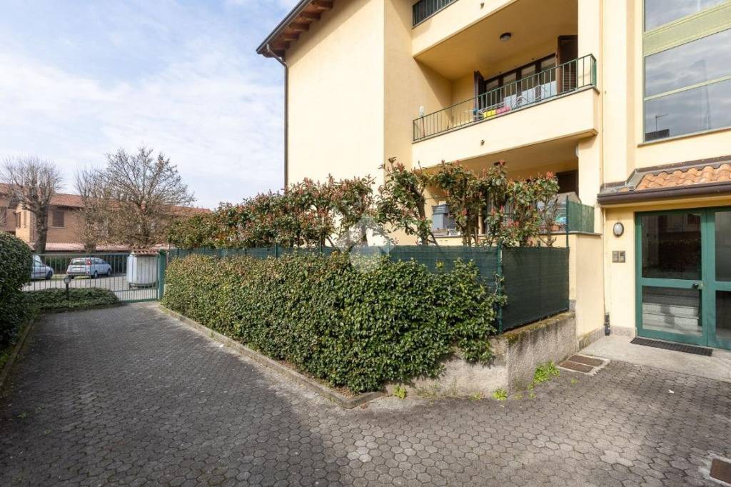 immagine annuncio 12 di 14