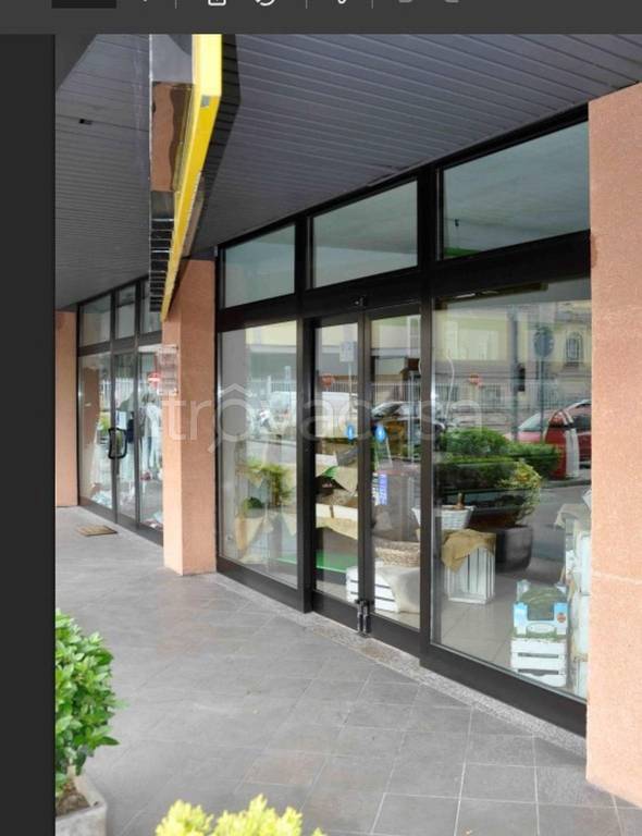 immagine annuncio 6 di 11