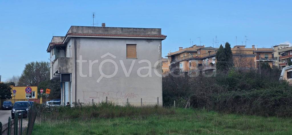 immagine annuncio 3 di 11