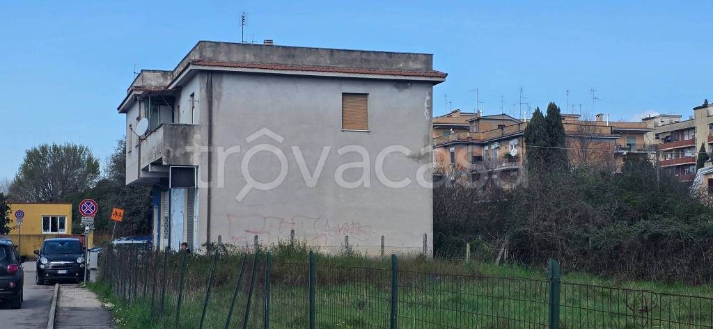 immagine annuncio 4 di 11