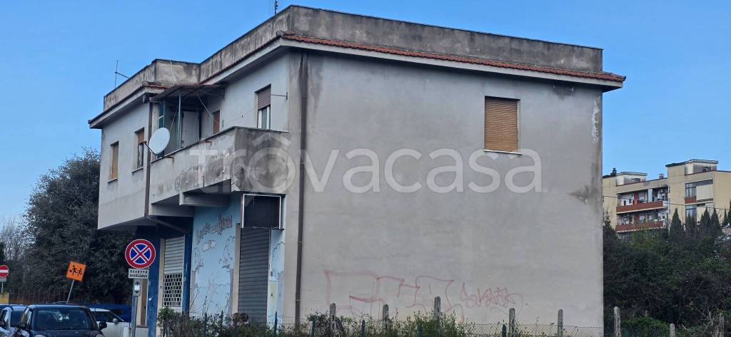 immagine annuncio 5 di 11