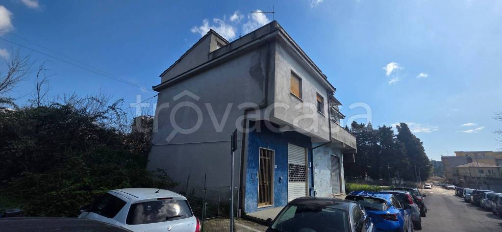 immagine annuncio 10 di 11