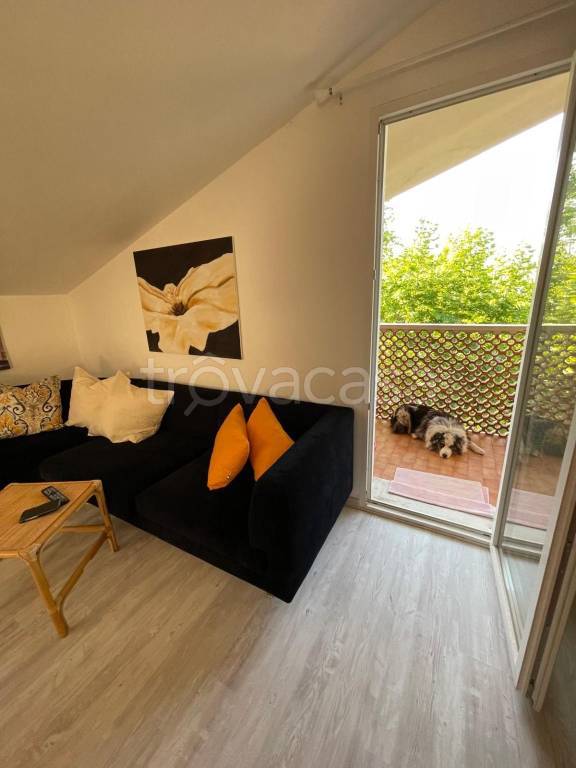 immagine annuncio 3 di 6