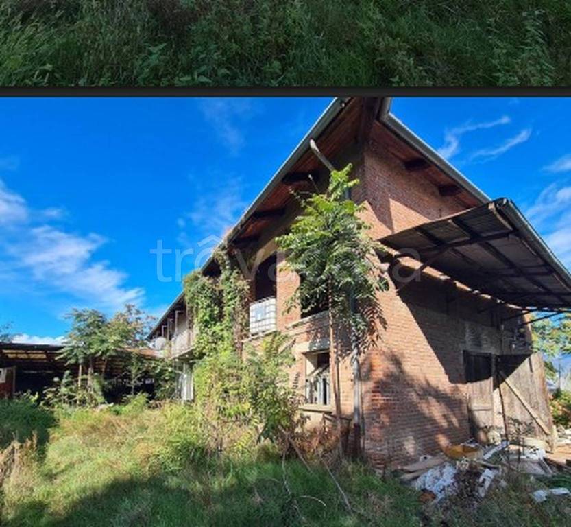 immagine annuncio 4 di 11