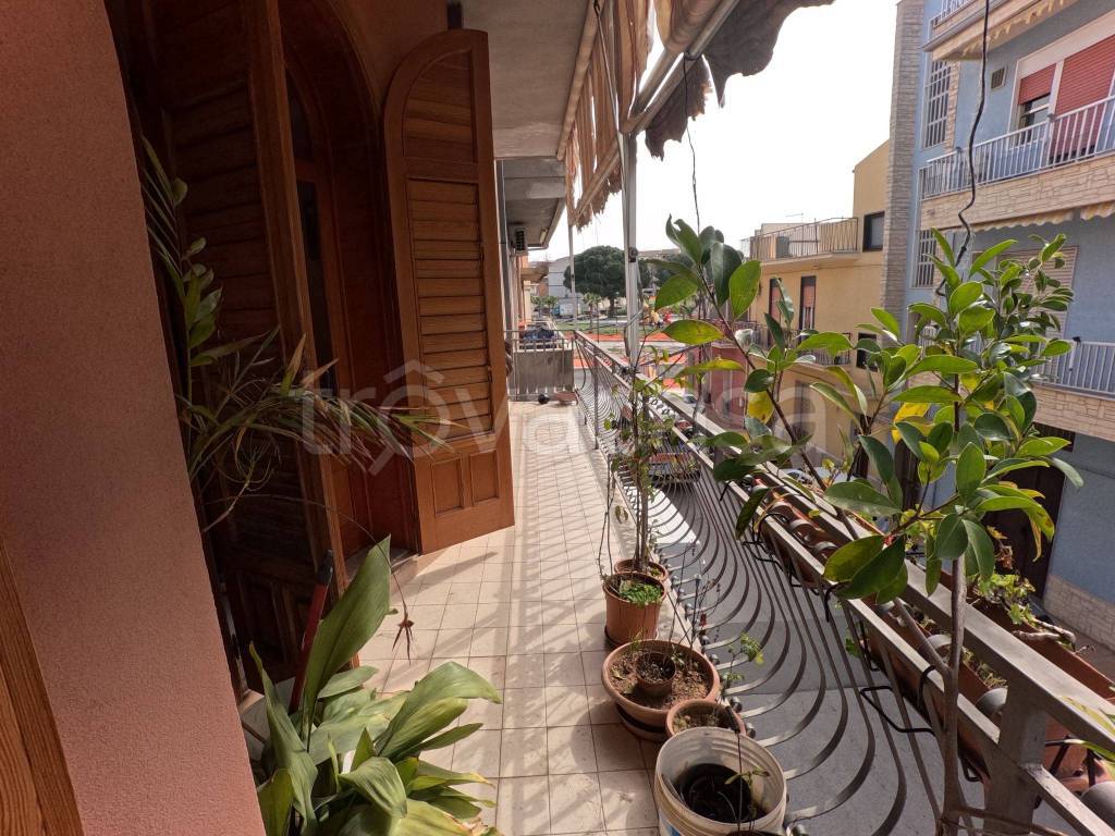 immagine annuncio 8 di 12