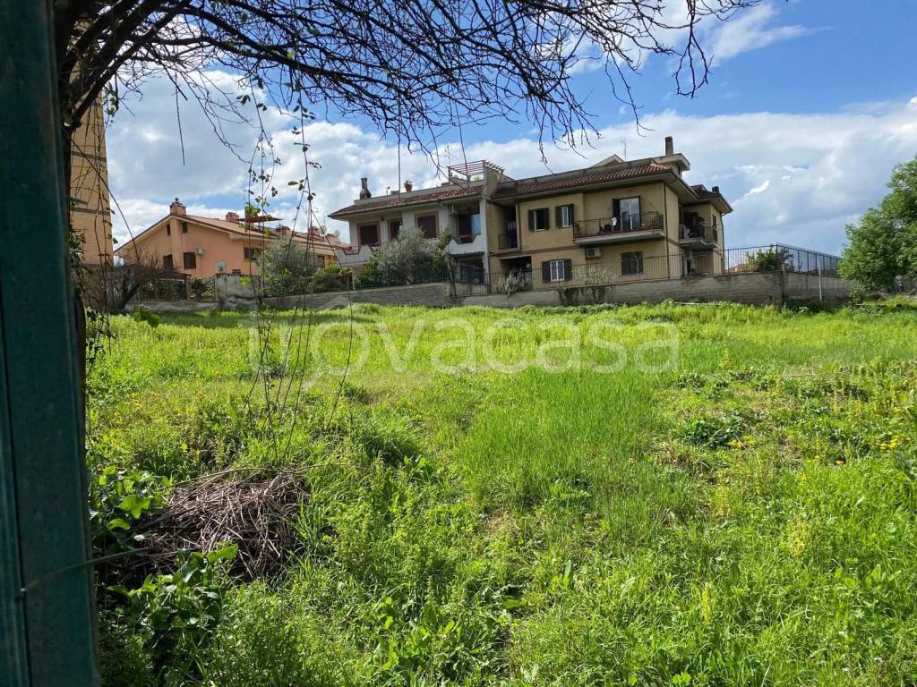 immagine annuncio 1 di 6