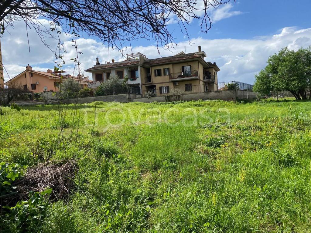 immagine annuncio 2 di 6