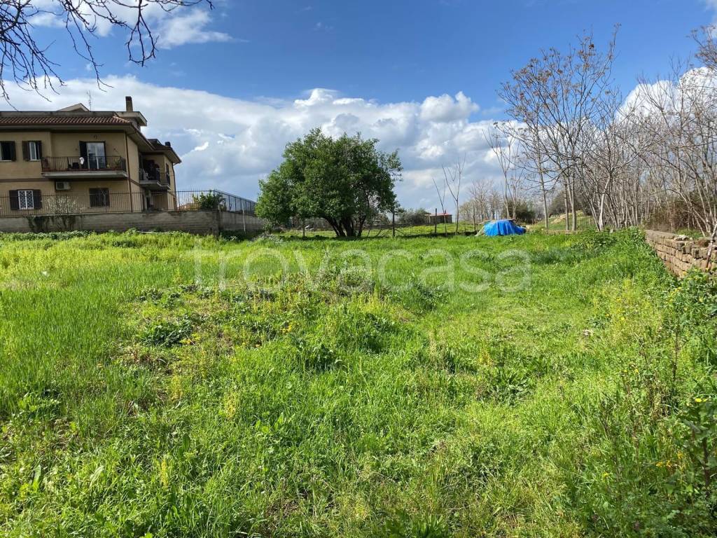 immagine annuncio 3 di 6