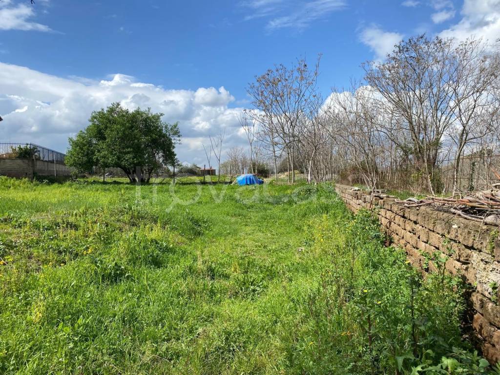 immagine annuncio 4 di 6