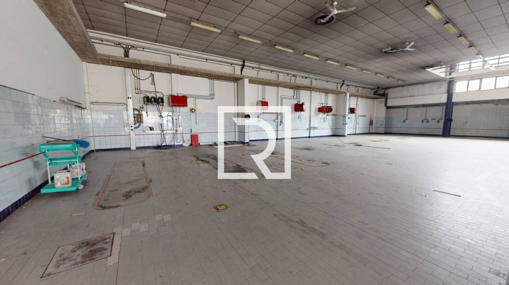 immagine annuncio 8 di 15