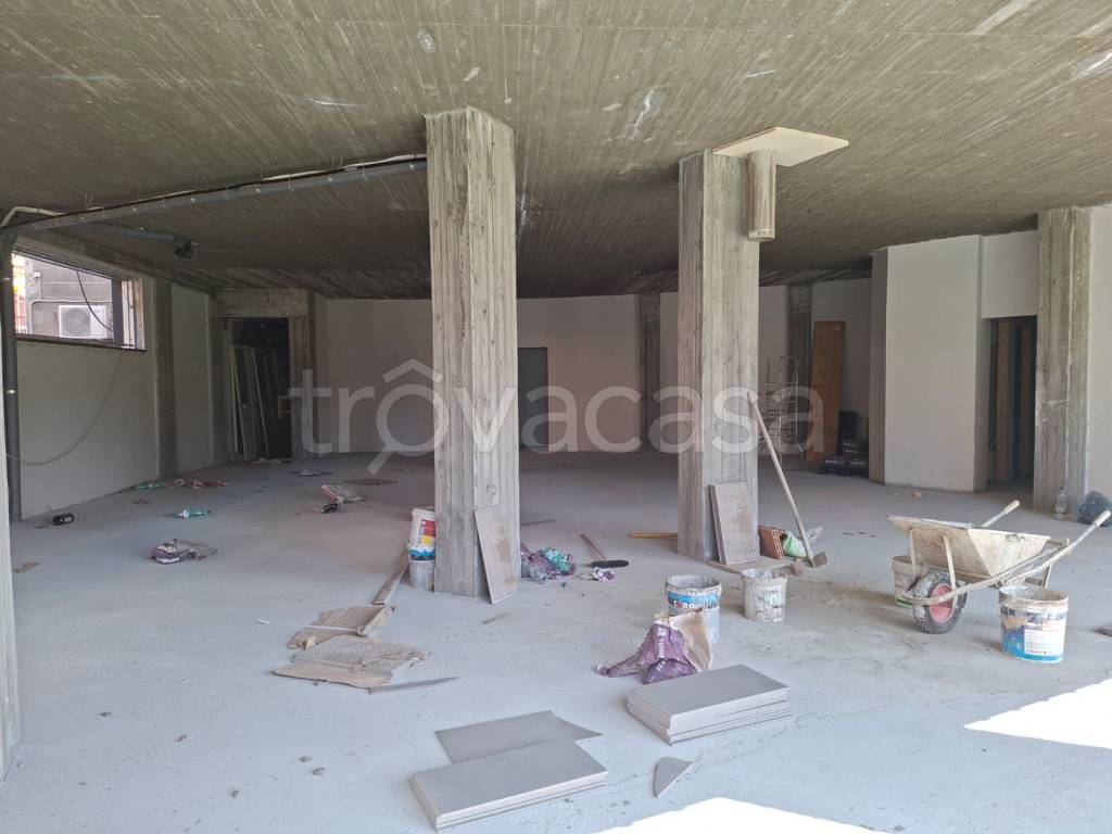 immagine annuncio 7 di 14