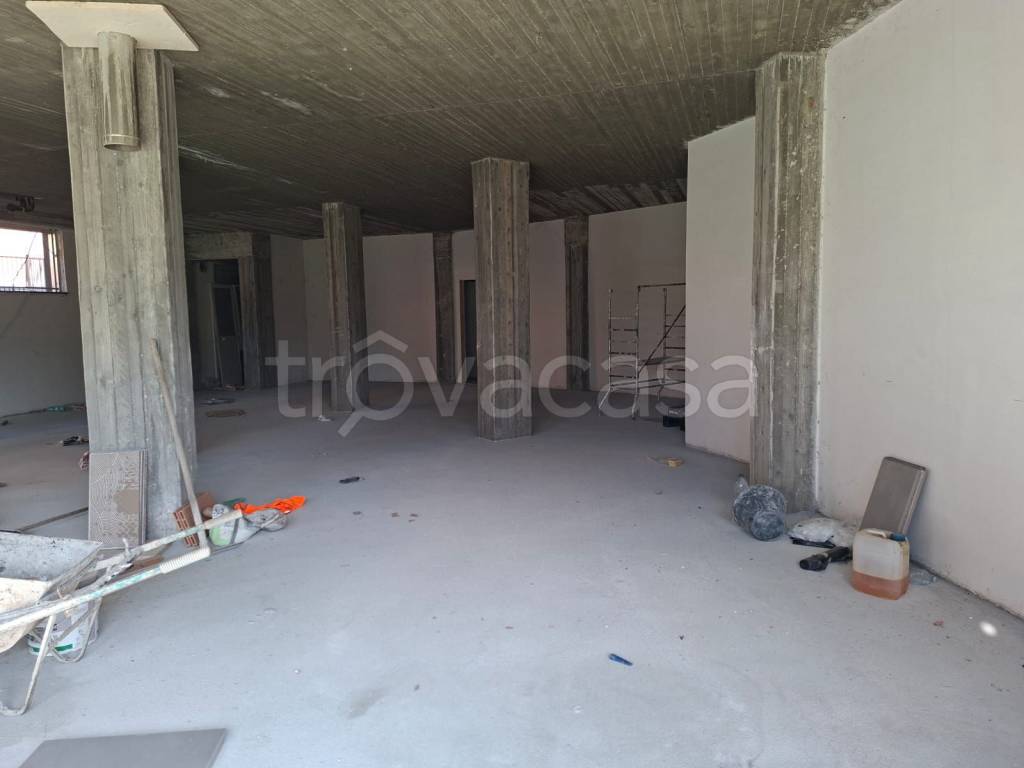 immagine annuncio 9 di 14