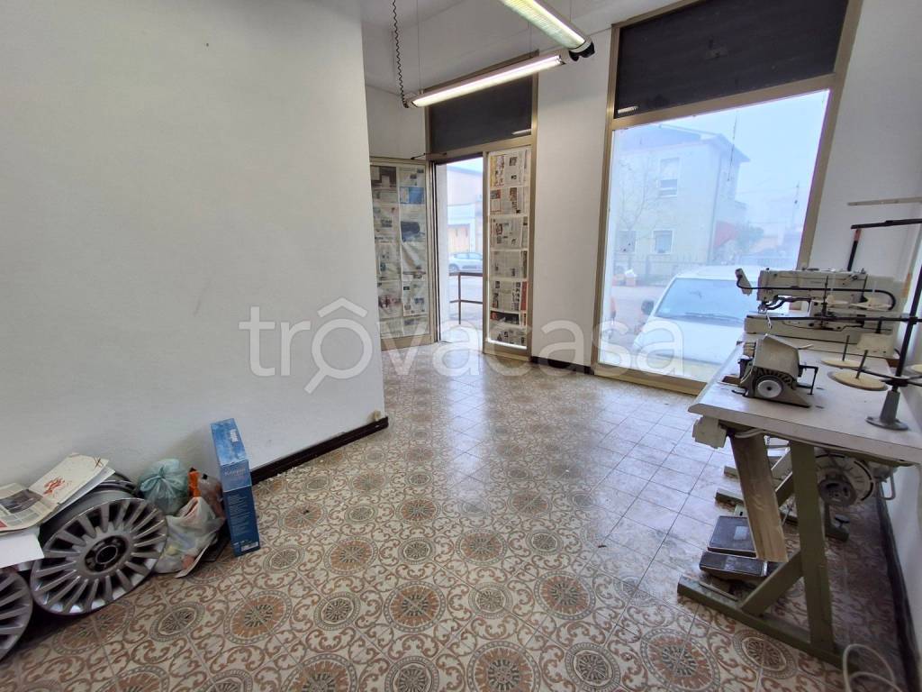 immagine annuncio 1 di 7