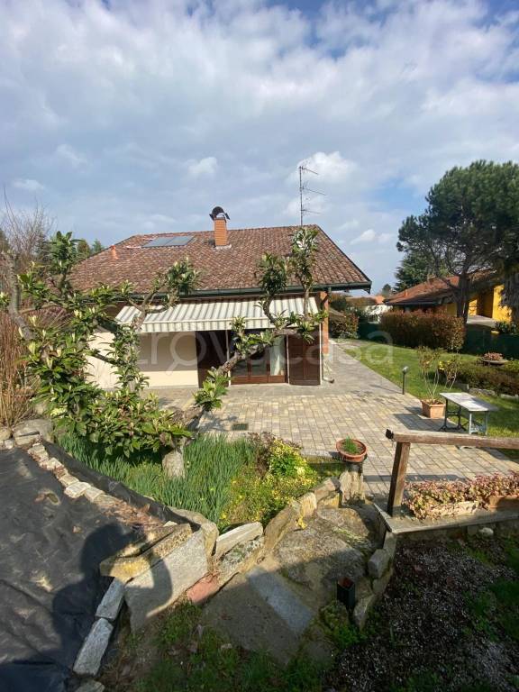 immagine annuncio 3 di 15