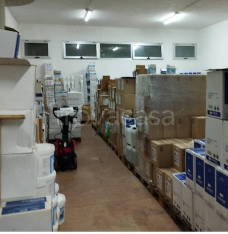 immagine annuncio 8 di 11