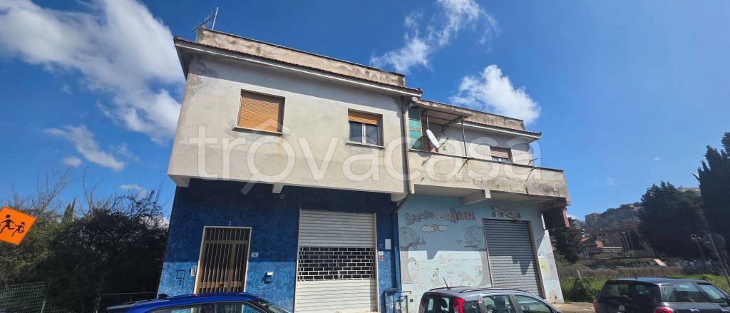 immagine annuncio 6 di 11