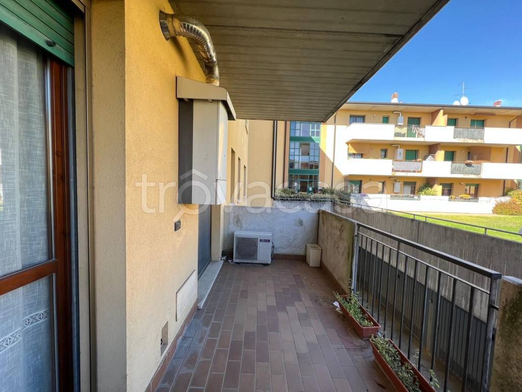 immagine annuncio 5 di 6