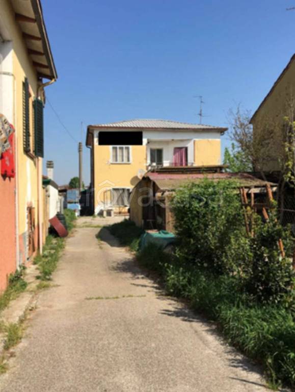 immagine annuncio 1 di 12