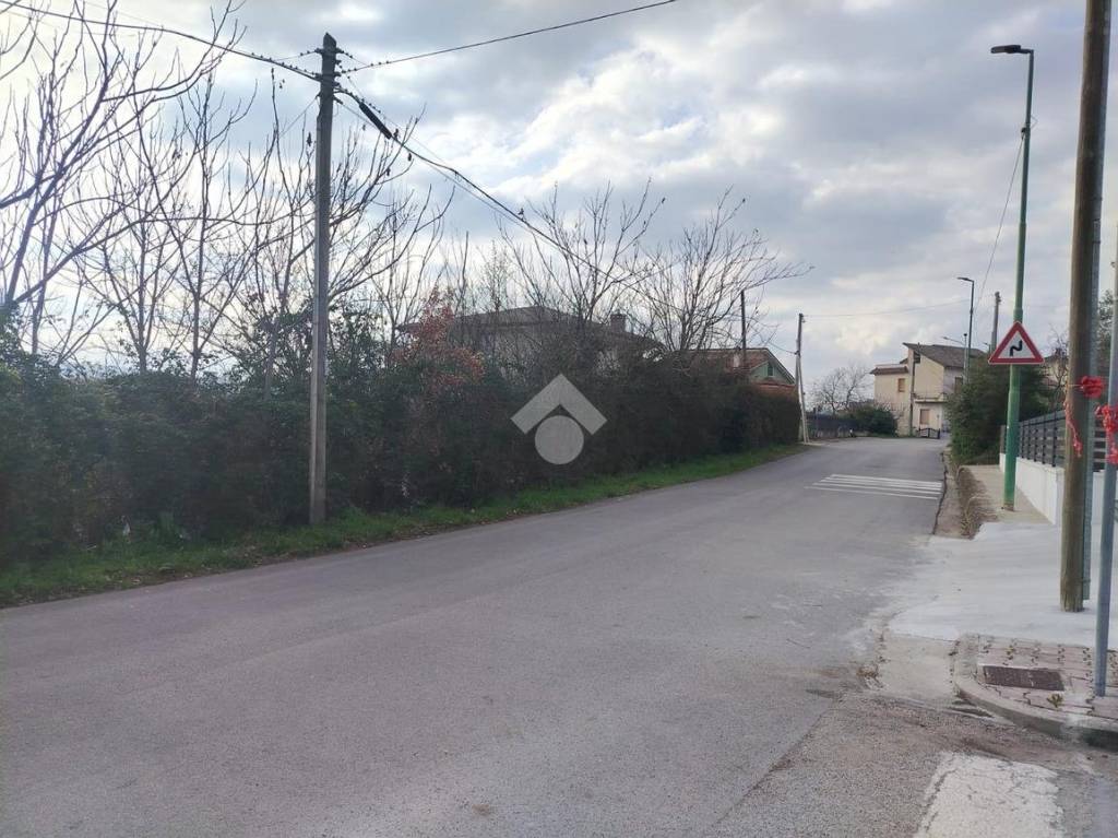 immagine annuncio 3 di 14