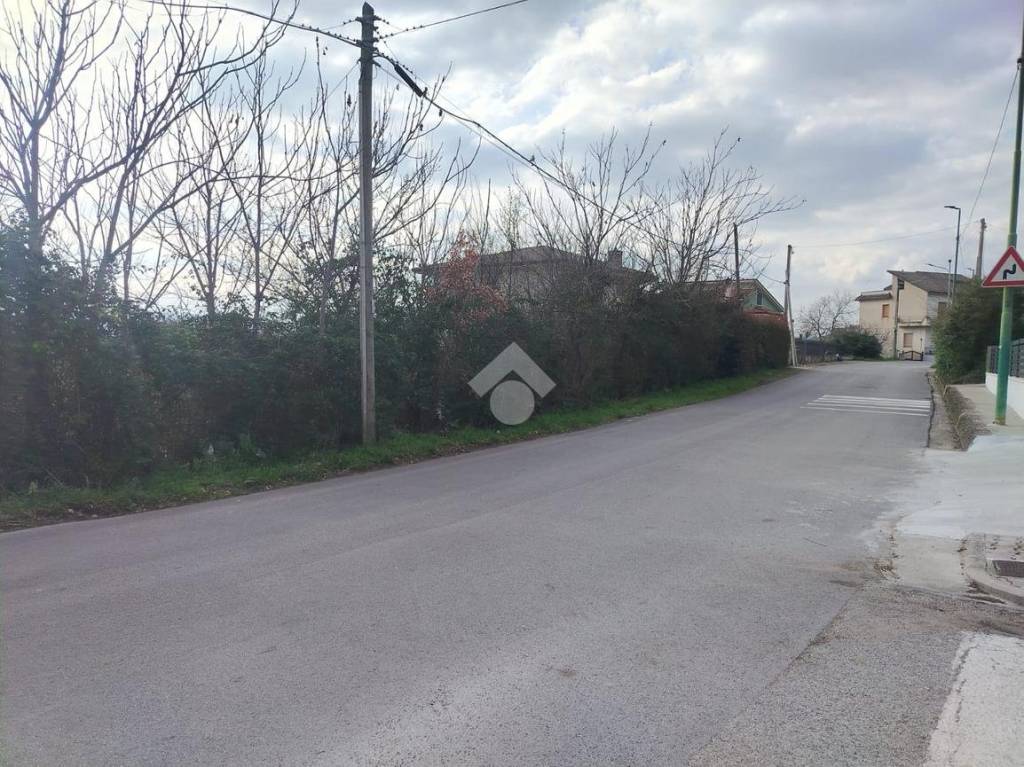 immagine annuncio 4 di 14