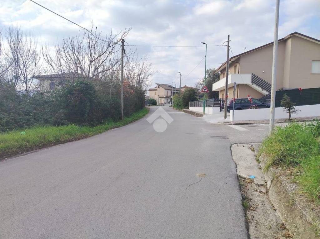 immagine annuncio 5 di 14