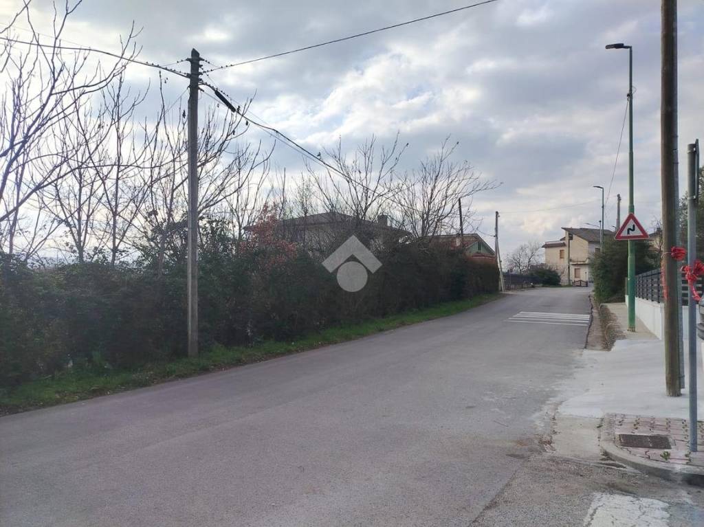 immagine annuncio 6 di 14