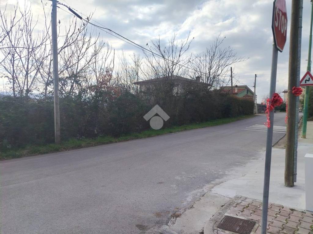 immagine annuncio 7 di 14