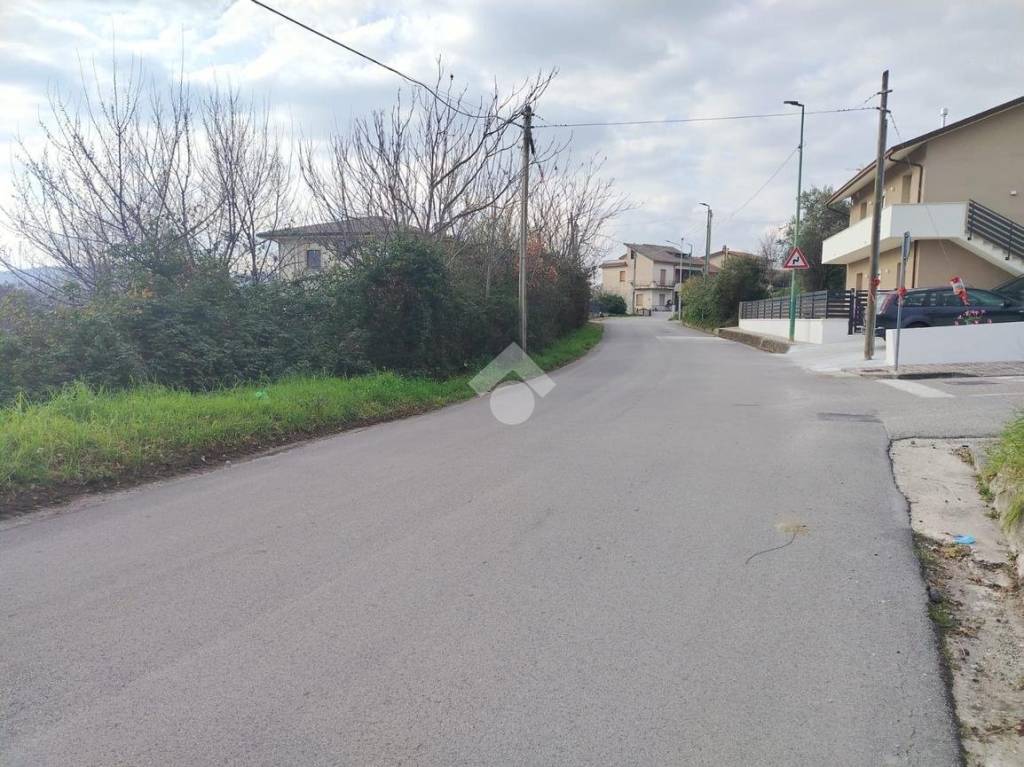 immagine annuncio 8 di 14