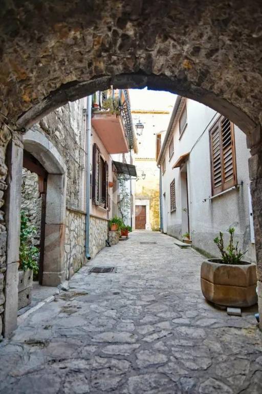 immagine annuncio 12 di 14